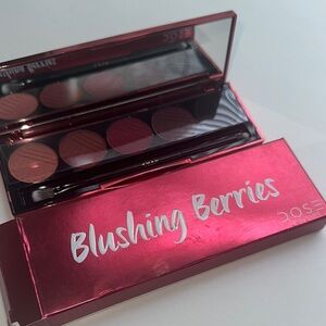 Blushing Berries Eyeshadow Palette - Red and Pink Shades